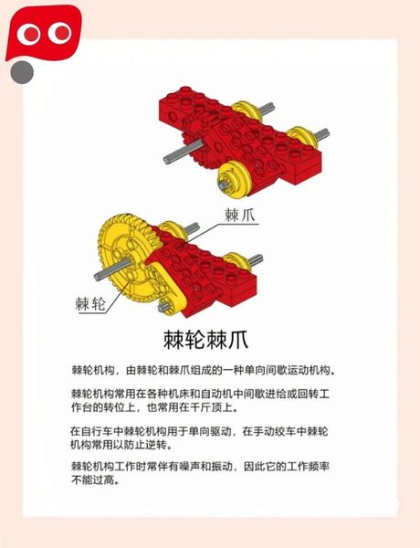 棘轮：生物中的奇迹结构