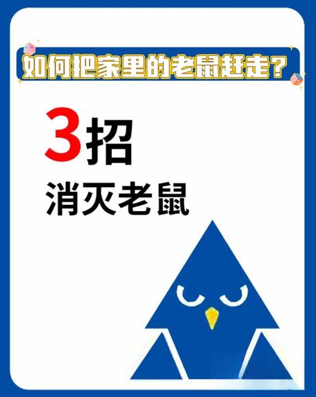 怎么赶走老鼠，如何有效的赶走老鼠？