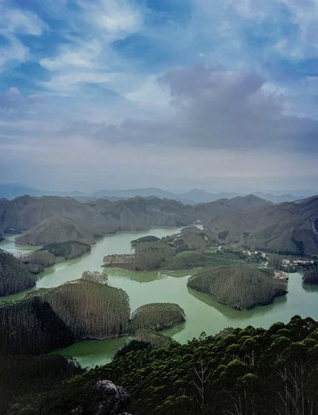 千岛湖蛇岛，探秘千岛湖之蛇岛