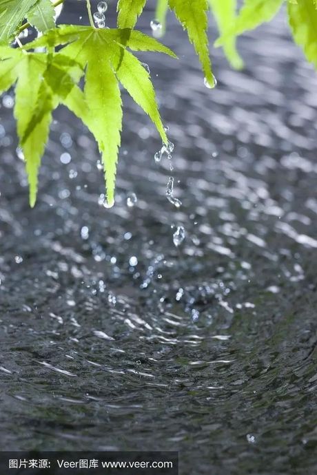 梅雨是什么雨？