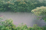 8月20号，北京将迎来大规模降雨！