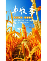 收获日，丰收之喜——收获日