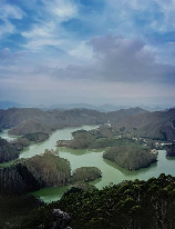 千岛湖蛇岛，探秘千岛湖之蛇岛