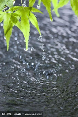 梅雨是什么雨？